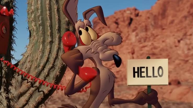 Coyote vs Acme.